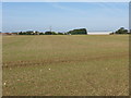 View across fields from North Downs Way