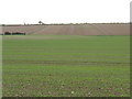 SE9047 : Farmland, Middleton Wold by JThomas