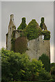 R4274 : Castles of Munster: Danganbrack, Clare (2) by Mike Searle