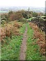 Ben Rhydding - footpath down from Cow & Calf Rocks