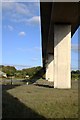 Under the Viaduct