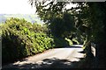 SX1357 : Down the hill towards Lerryn village by roger geach