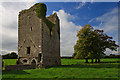 S1853 : Castles of Munster: Ballybeg, Tipperary by Mike Searle
