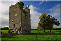 S1853 : Castles of Munster: Ballybeg, Tipperary by Mike Searle