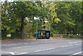 Bus Stop, Shipbourne Rd