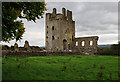 S3227 : Castles of Munster: Kilcash, Tipperary by Mike Searle