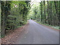 Crimbourne Lane bordered by access woodland