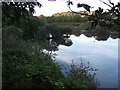 The lake in Rosemoor nature reserve