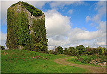 R4083 : Castles of Munster: O'Brien's, Clare by Mike Searle