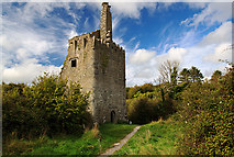 R3586 : Castles of Munster: Dromore, Clare by Mike Searle