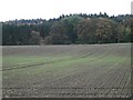 Arable field and Dean Plantation