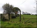 Meenadoo Townland