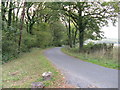 View south down Crimbourne Lane towards the A272