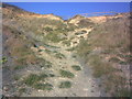 The path up to the car park from the beach