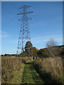 NN7947 : Riverside path and pylon by Lis Burke