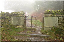 SD4199 : Gate on Orrest Head, Windermere by Peter Trimming