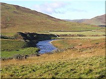 NT3521 : Bend on the Ettrick Water by Oliver Dixon
