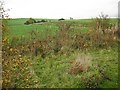 Farmland opposite Cherryton brickworks