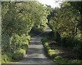 2009 : Heading south on Thickthorn Lane