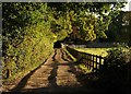 Footpath along driveway, Burley