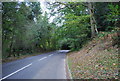 Barden Rd through Speldhurst Wood