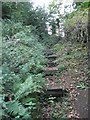 Steps on the footpath up to Church Lane