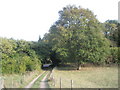 Approaching the end of the footpath from Church Lane to the A283