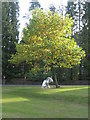 Statue of a unicorn within the grounds of King Edward