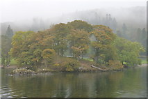 NY3702 : Holme Crag, Near Waterhead by Peter Trimming