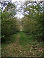 SO9580 : Path from edge of Uffmoor Wood to the car park by P L Chadwick