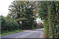 Langton Rd leaving Speldhurst