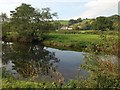 East Barton from the Exe Valley Way