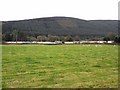 Ettrick Marshes Caravan Park