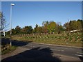 Exeter Road, Whiddon Down