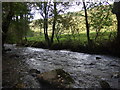 Afon Gwaun at Cilrhedyn