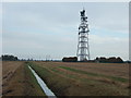 TF4213 : Telecommunications mast near Newton by Richard Humphrey