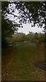 Footpath  in Goose Green Inclosure