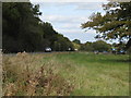 Rough grass verge alongside the B2135