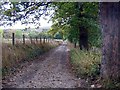 Public Bridleway from Mikwellburn Wood