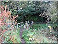 Footbridge on path to Broad Oak Farm