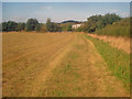 Late hay field near Colliers Wood - 1