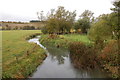 River Windrush from Worsham bridge