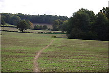 TQ5139 : Footpath across the fields by N Chadwick