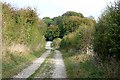 Track near Old Warren