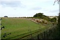 Footpath north of Old Warren