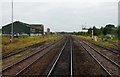 Sidings at Swindon