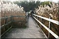 Walkway to the Car Park