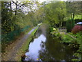 Rochdale Canal at Burnt Acres, Calderdale