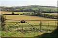 View across the fields towards Bury Down