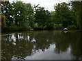 Swan Pond (2), Hampstead